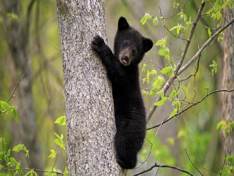 广州三代供卵例子,山东临沂做试管婴儿成功率最高的医院是哪里？如何选-广州